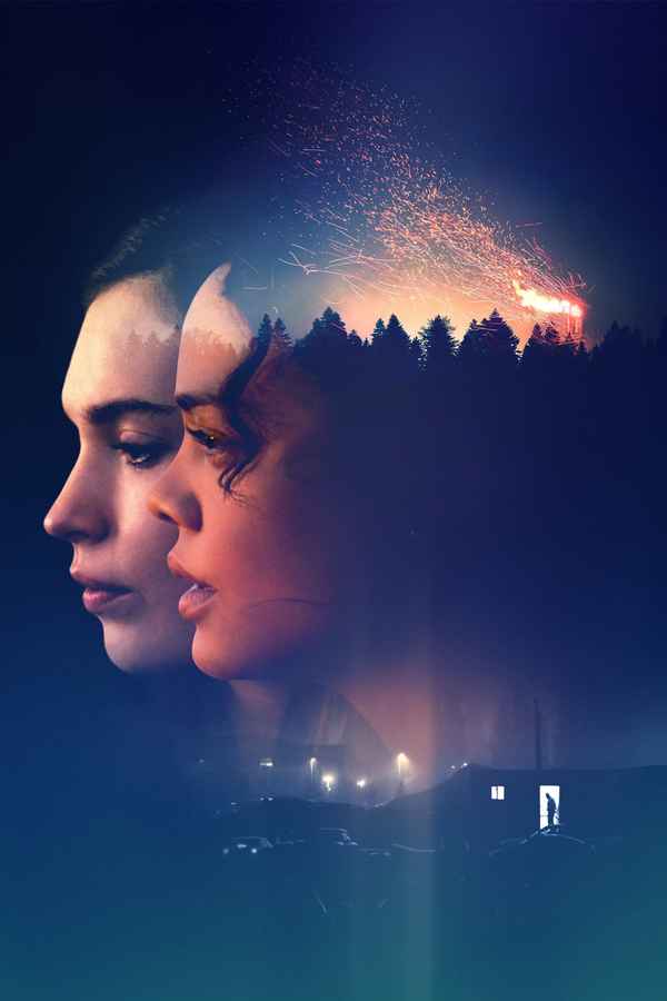 Little Woods Poster 5