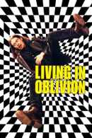 Living in Oblivion Poster 7