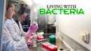 Living With Bacteria Poster 1