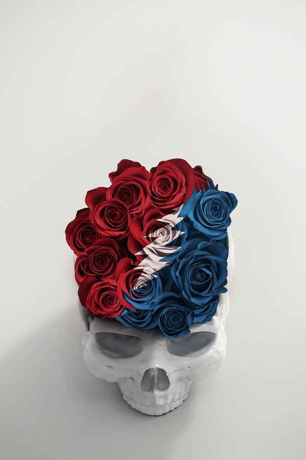 Long Strange Trip Poster 1