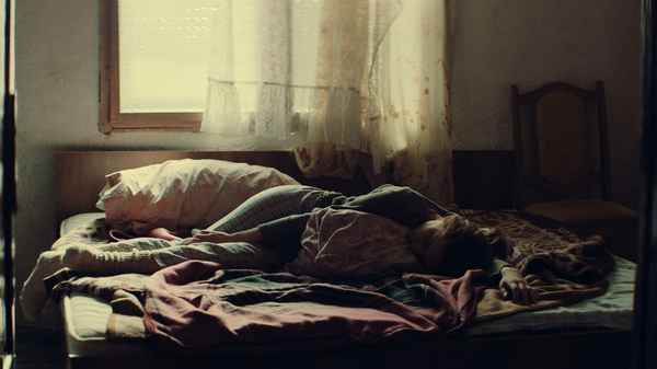 Looking for Venera Poster 1