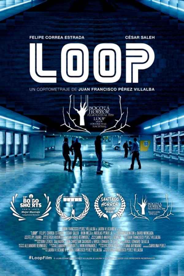Loop Poster 5