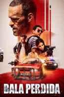 Lost Bullet Poster 2