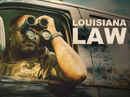 Louisiana Law Poster 4