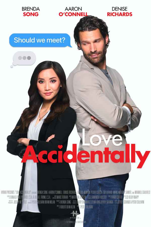 Love Accidentally Poster 1