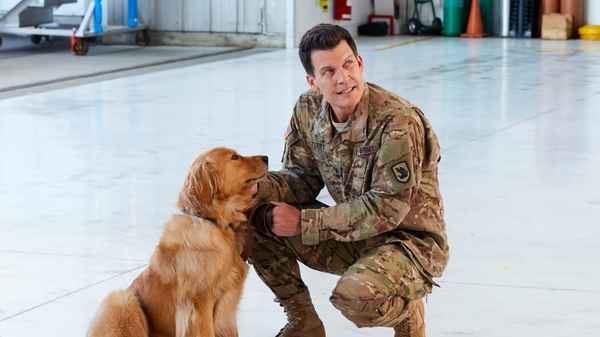 Love and Sunshine Poster 6