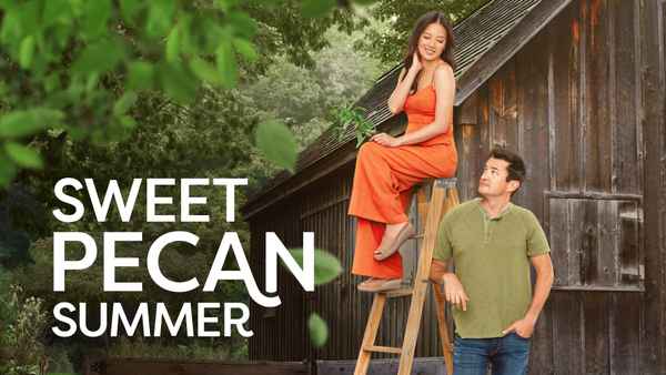Love at the Pecan Farm Poster 1
