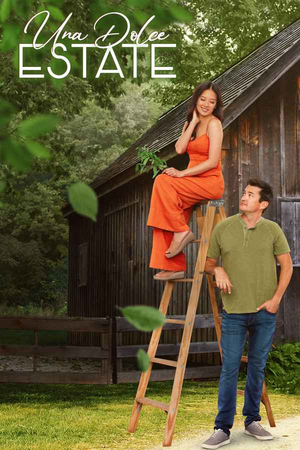 Love at the Pecan Farm Poster 2