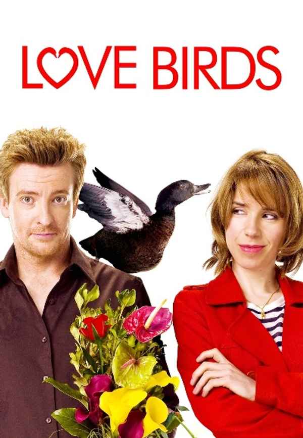 Love Birds Poster 4