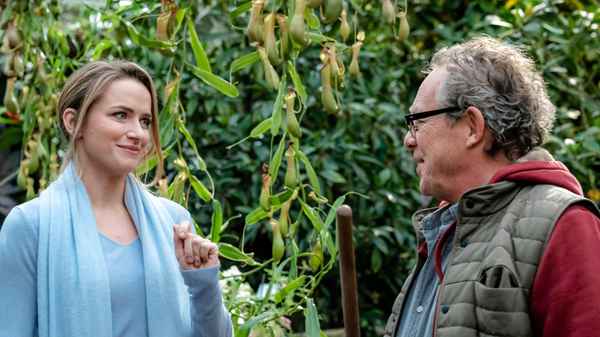 Love Blossoms Poster 7