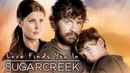 Love Finds You In Sugarcreek Poster 3