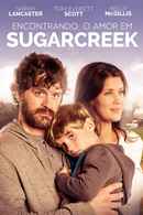 Love Finds You In Sugarcreek Poster 1