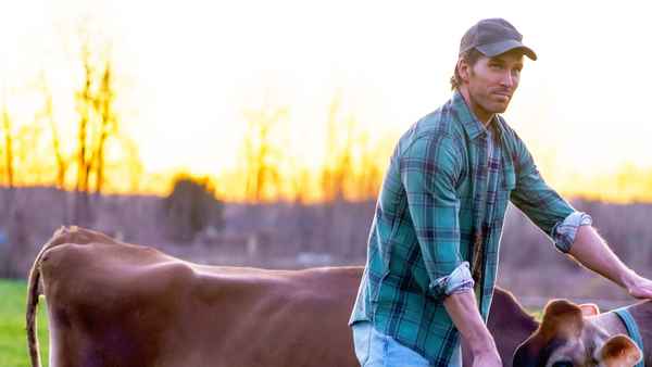 Love in the Forecast Poster 7