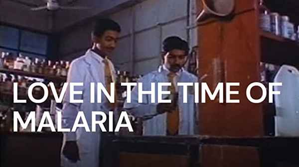 Love in the Time of Malaria Poster 6