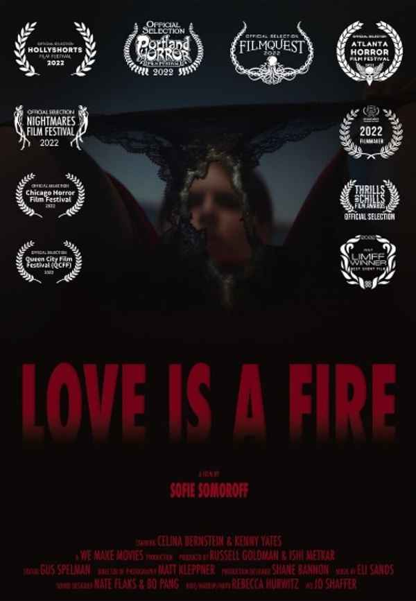 Love is a Fire Poster 2