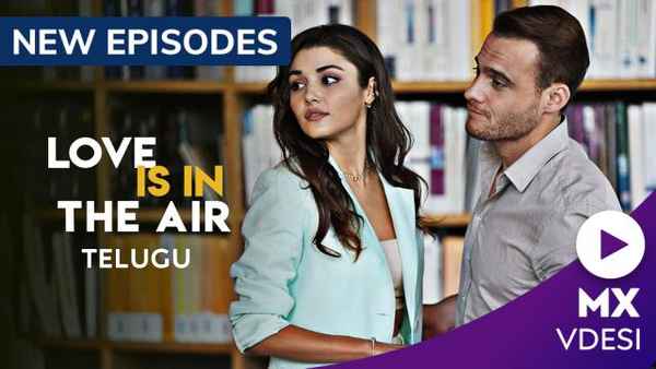 Love Is In The Air Poster 6