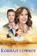 Love Takes Flight Poster 1