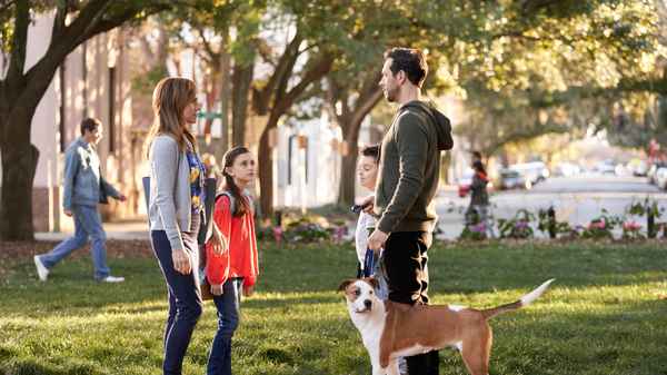 Love to the Rescue Poster 4