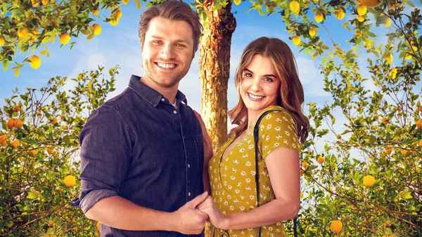 Love Under the Lemon Tree Poster 6
