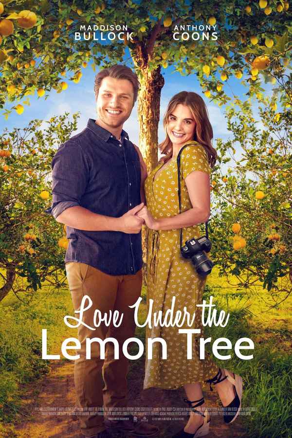 Love Under the Lemon Tree Poster 5