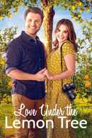 Love Under the Lemon Tree Poster 4