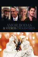 Love, Weddings & Other Disasters Poster 3