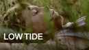 Low Tide Poster 6