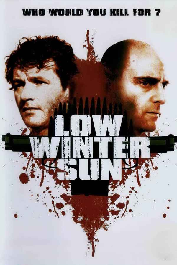 Low Winter Sun Poster 4
