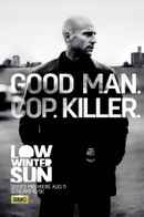 Low Winter Sun Poster 6