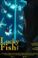 Lucky Fish Poster 2