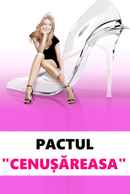 Lying to Be Perfect Poster 7