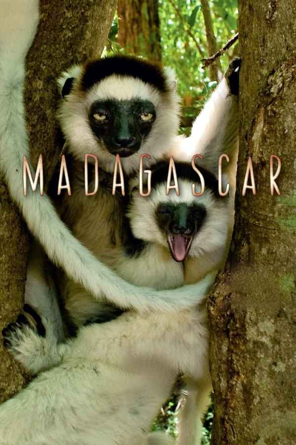 Madagascar Poster 4