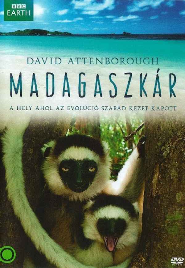 Madagascar Poster 6