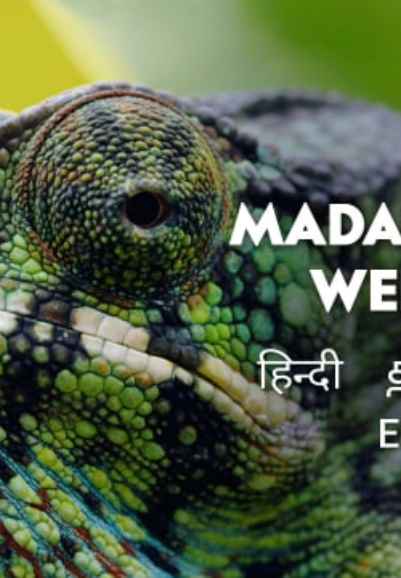 Madagascar's Weirdest