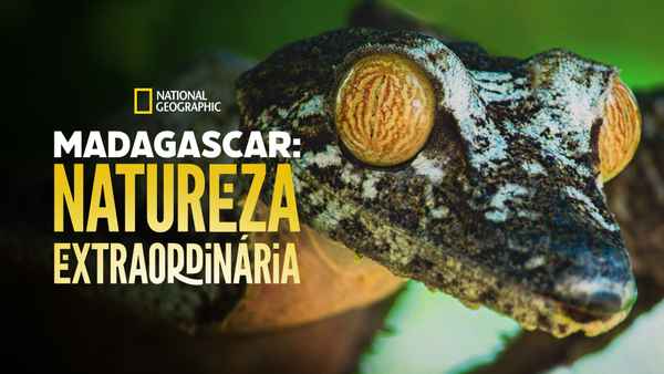 Madagascar's Weirdest Poster 5