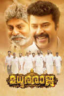 Madhura Raja Poster 3