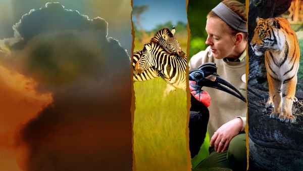 Magic of Disney's Animal Kingdom Poster 2