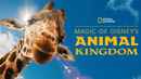 Magic of Disney's Animal Kingdom Poster 3