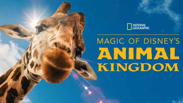 Magic of Disney's Animal Kingdom Poster 3