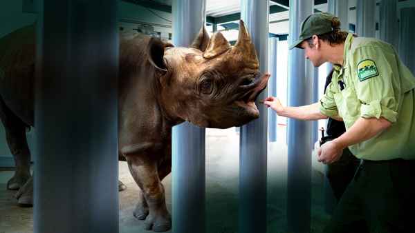 Magic of Disney's Animal Kingdom Poster 1