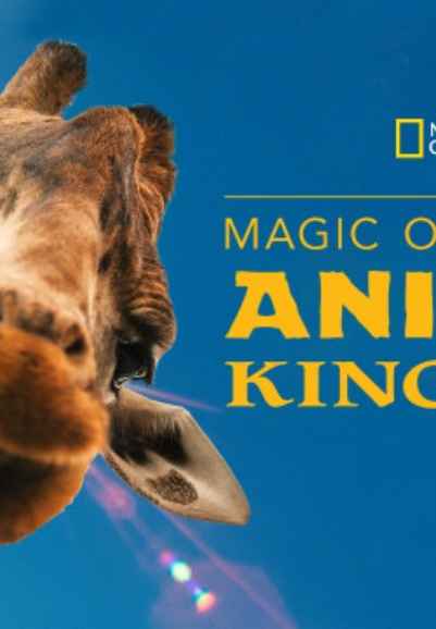 Magic of Disney's Animal Kingdom