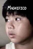 Magnifico Poster 3