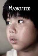 Magnifico Poster 4