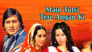 Main Tulsi Tere Aangan Ki Poster 6