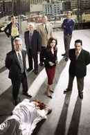Major Crimes Poster 5