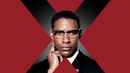 Malcolm X Poster 1