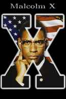 Malcolm X Poster 5