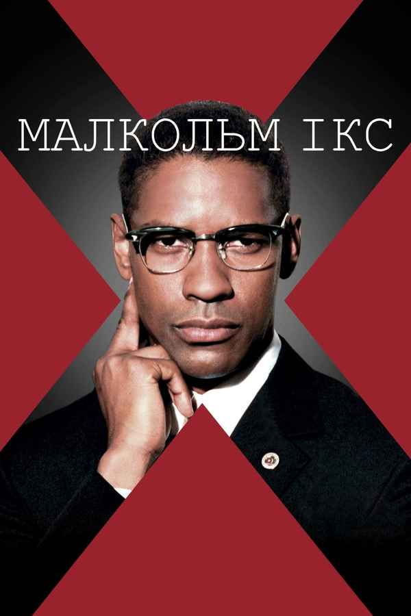Malcolm X Poster 4