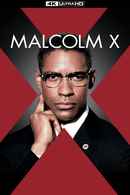 Malcolm X Poster 6
