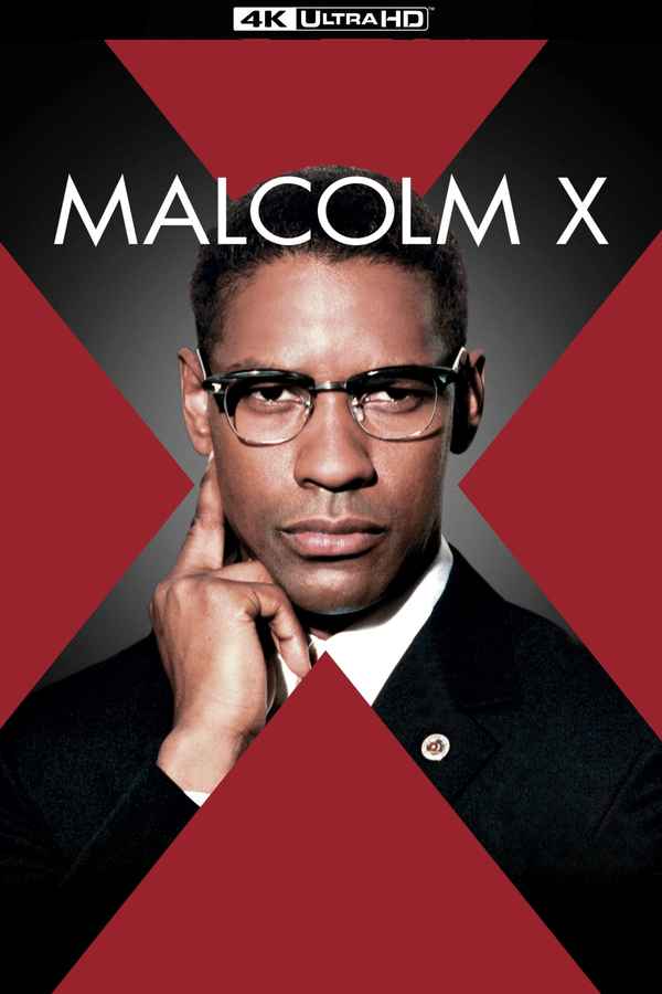 Malcolm X Poster 6